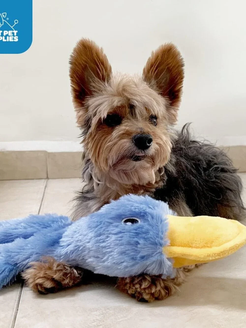 Interactive Squeaky Dog Chew Toy, Ideal Dog Toys for Chewers, Small, Medium & La - Picture 5 of 5